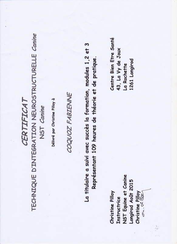 nst diplome (583x800).jpg